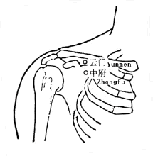 乳房最喜欢什么食物?保养乳房可以按摩这里!